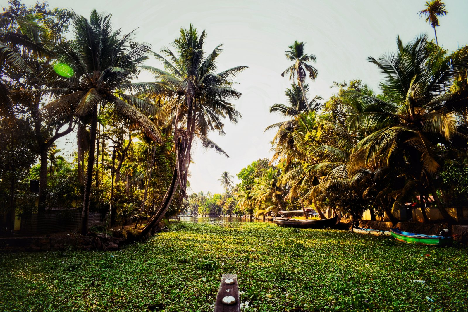 Hills & Backwater of Kerala