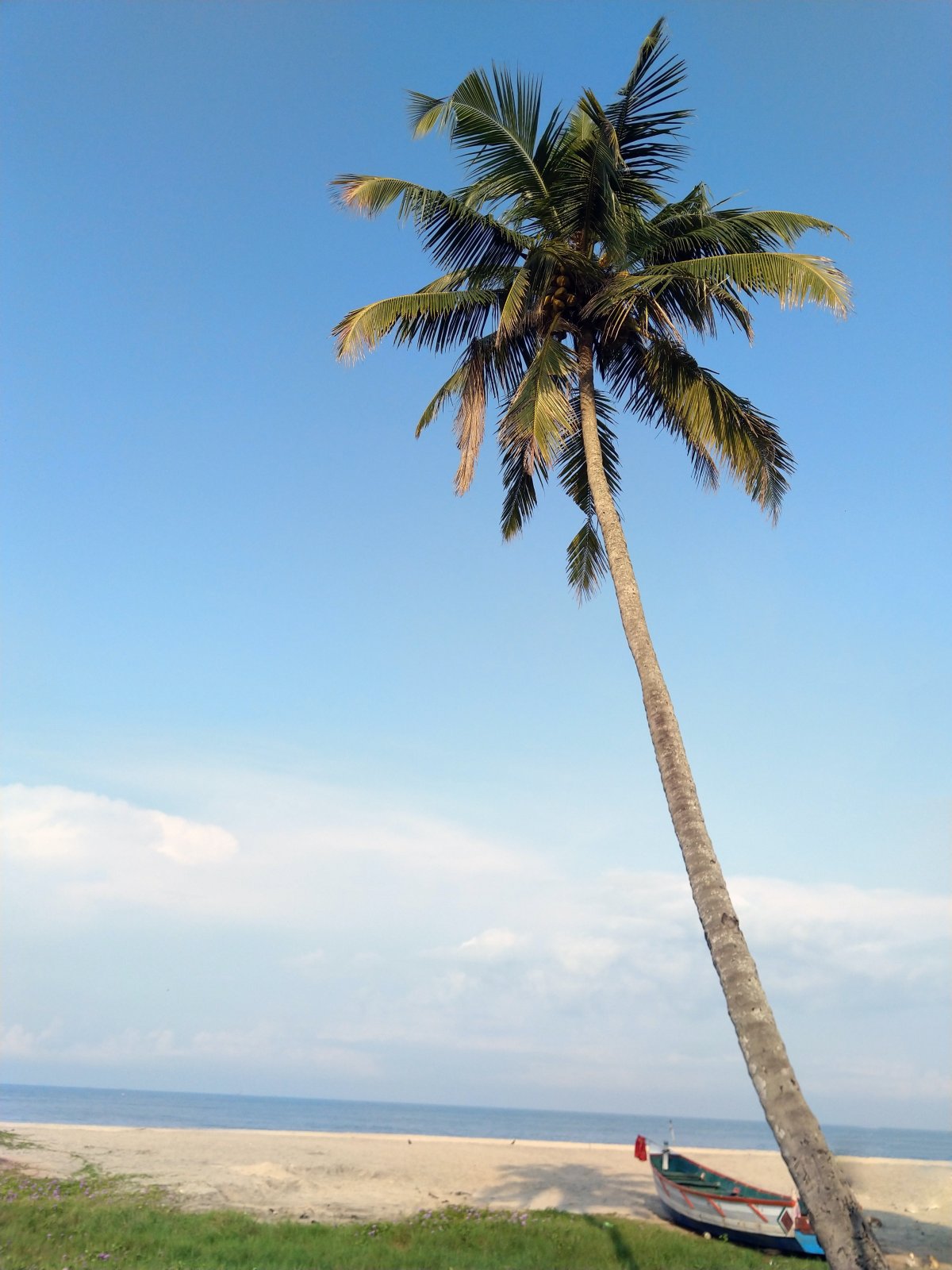 Hills & Backwater of Kerala